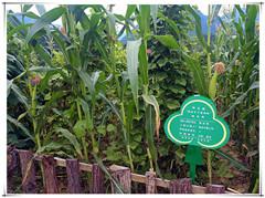 恒峰g22(国际)官网入口-天天有惊喜