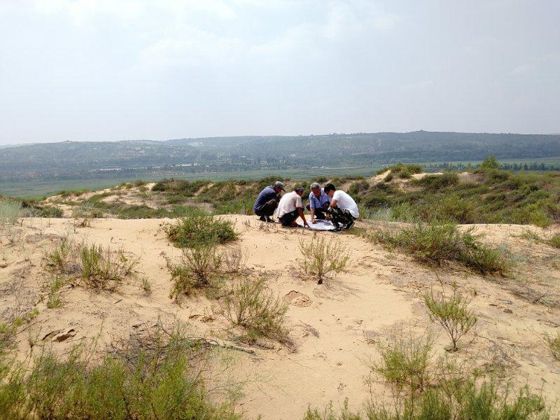 恒峰g22(国际)官网入口-天天有惊喜