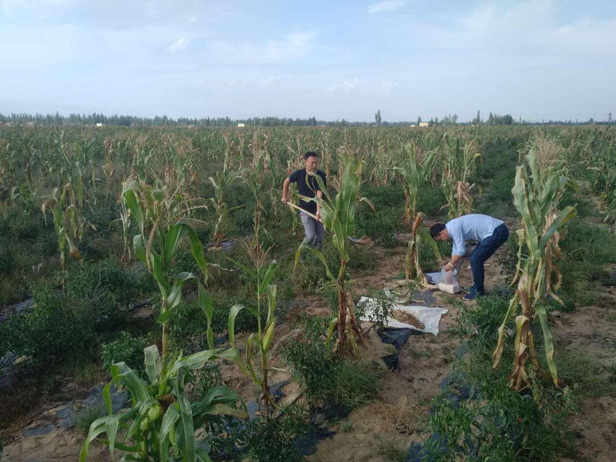 恒峰g22(国际)官网入口-天天有惊喜