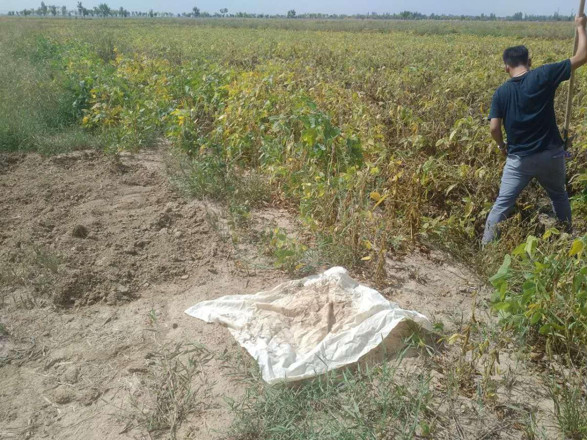 恒峰g22(国际)官网入口-天天有惊喜