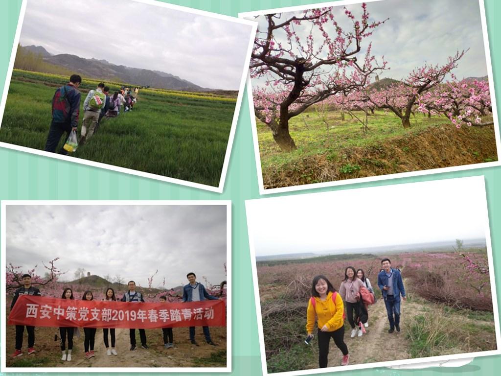 恒峰g22(国际)官网入口-天天有惊喜