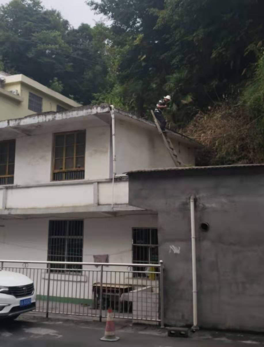 恒峰g22(国际)官网入口-天天有惊喜