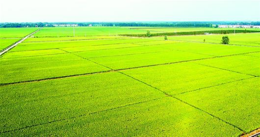 恒峰g22(国际)官网入口-天天有惊喜