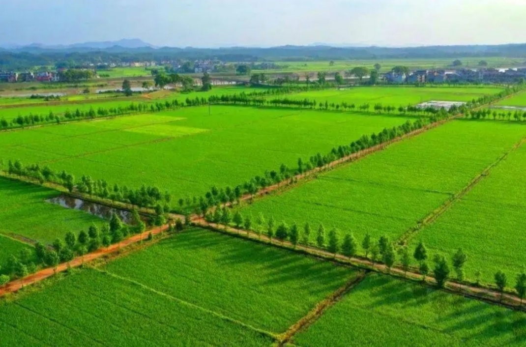 恒峰g22(国际)官网入口-天天有惊喜