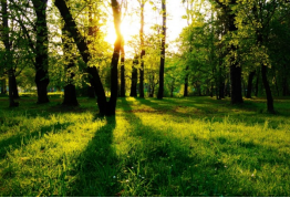 恒峰g22(国际)官网入口-天天有惊喜