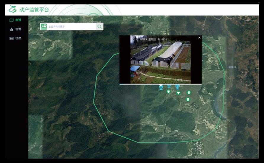 恒峰g22(国际)官网入口-天天有惊喜