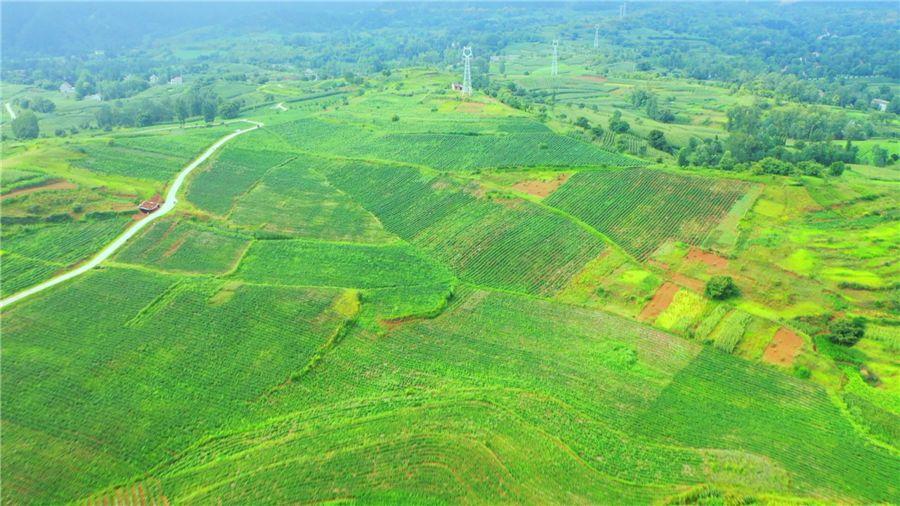 恒峰g22(国际)官网入口-天天有惊喜