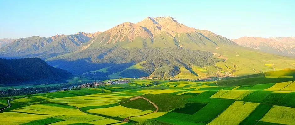 恒峰g22(国际)官网入口-天天有惊喜