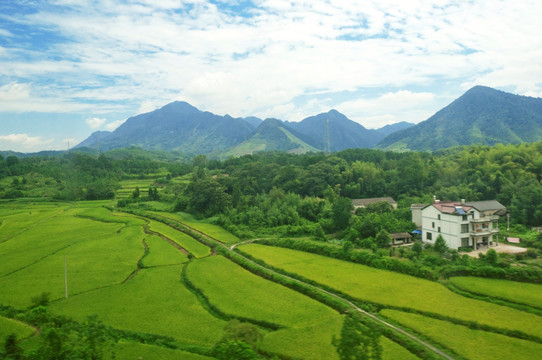 恒峰g22(国际)官网入口-天天有惊喜