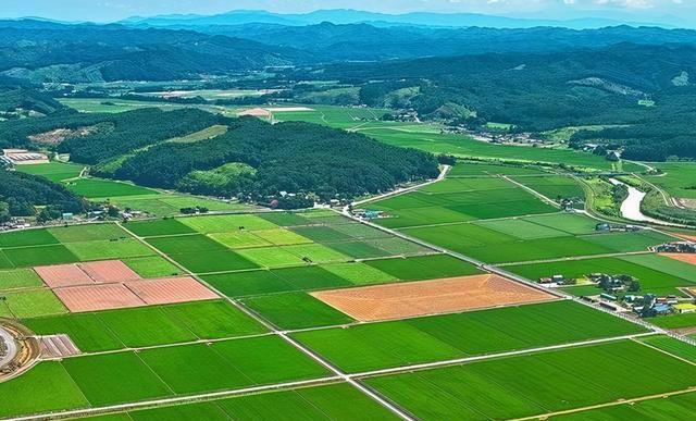 恒峰g22(国际)官网入口-天天有惊喜