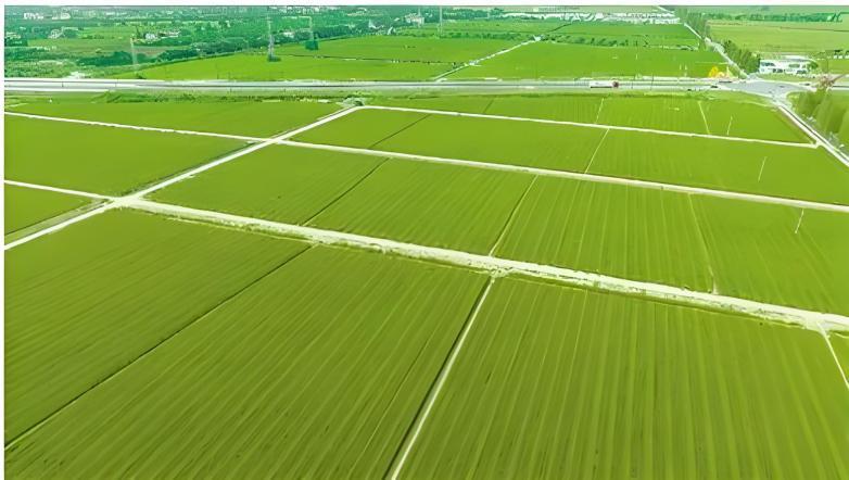 恒峰g22(国际)官网入口-天天有惊喜