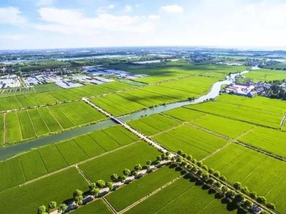 恒峰g22(国际)官网入口-天天有惊喜